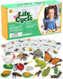 Life Cycle Animal Kit - Montessori Science Toy with 24-Piece Matching Game,