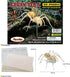 Puzzled 3D Puzzle Tarantula Spider Wood Craft Model Kit, Fun & Educational DIY Wooden Toy Assemble Puzzle (28 Pieces