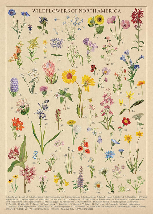 Vintage Wildflowers Puzzle 1000 Pieces for Adult, Botany Plant Flower Puzzle of Wildflowers of North America, Floral Jigsaw Puzzles Nature