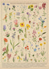 Vintage Wildflowers Puzzle 1000 Pieces for Adult, Botany Plant Flower Puzzle of Wildflowers of North America, Floral Jigsaw Puzzles Nature