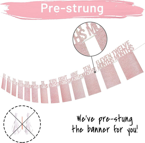 1st Birthday Photo Banner PartyHooman for Baby from Newborn to 12 Months, Rose Gold