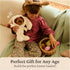Philbin 0 10 GUND Bunny Plush, Premium Teddy Bear with Easter Bunny Costume, Stuffed Animal for Ages and Up