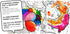 Vectorcloud Washable Coloring Poster, Jumbo XXL 54" x 40", Reusable, Tear & Wrinkle Resistant, Coloring Mat (Dinosaurs,