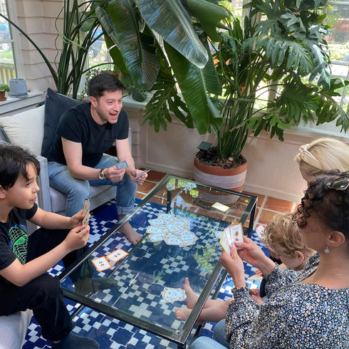 Bird Call, A Lively and Absurd 5-Minute Party Game, High Energy Card Game for Kids, Teens, and Adults