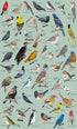 PICKFORU 1000 47 Bird Puzzle for Adults Pieces and Up, Backyard Birding Puzzle Collects Backyard Birds of North