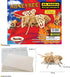 Puzzled 3D Puzzle Honeybee Wood Craft Model Kit - Unique Educational DIY Wooden Insect Toy to Build & Paint, 32pcs