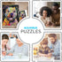 AQUARIUS - Dean Russo Beware Pit Bull - 500 Piece Jigsaw Puzzle