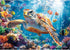 Puzzles for Adults 1000 Pieces- Sea Turtle Puzzle 1000 Piece, Challenging Ocean