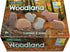 Yellow Door Little Lands – Woodland, Set of 8 Stone Figures for Kids
