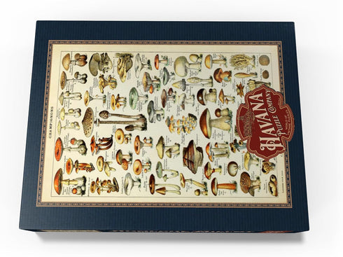 500 MyPuzzle Champignons - Mushrooms for All, Vintage Art Poster, Adolphe Millot - Premium Piece Jigsaw Puzzle