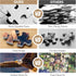 Jigsaw Puzzles for Adults 500 Pieces Eagle Puzzles for Kids Teens Elderly Home Decor Family Fun