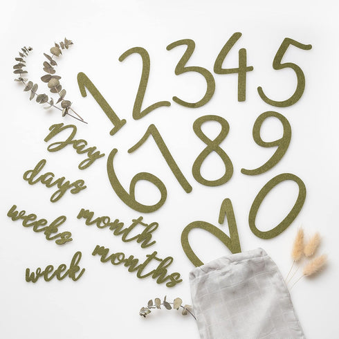 100% Organic Cotton Muslin Monthly Baby Milestone Blanket with Wooden Hello World Newborn Sign, Newborn Photography