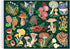 Galison World of Mushrooms 1000 Piece Jigsaw Puzzle - Beautiful Painted Artwork of Mushroom and Fungi Collection