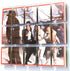CollectorMount Card Mount 3 Pack, Invisible Display Stand for Trading Cards and Collectibles