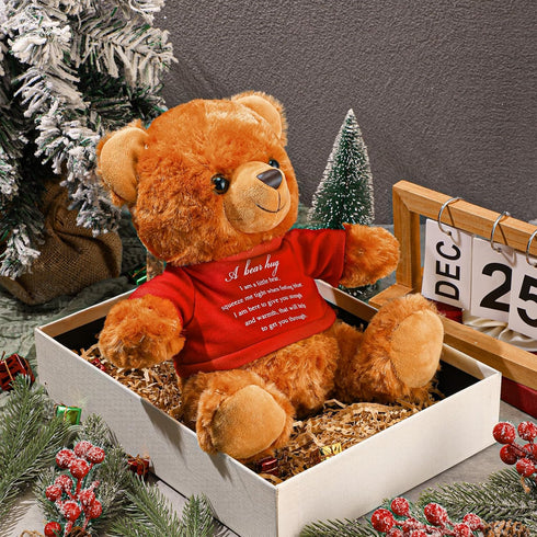 2 Pcs Little Bear Plush Stuffed Animal Sympathy Gifts, Memory Bear with Bear Hug Sign, Funeral Gift for Kids