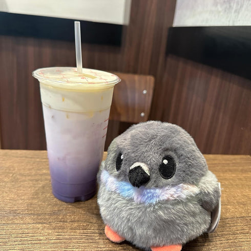 Borbs Pigeon Bird Plush with Weighted Fidget Beads. Stress Ball Rock Dove