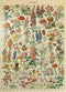 MyPuzzle Fleurs - Flowers for All, Vintage Art Poster, Adolphe Millot -