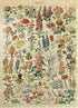 MyPuzzle Fleurs - Flowers for All, Vintage Art Poster, Adolphe Millot -