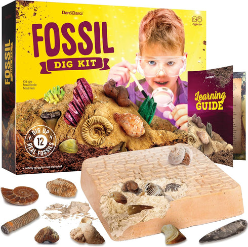 Real Fossil Dig Kit for Kids, Mega Science Kits for Boys & Girls Age 8-12, Birthday Gift Ideas for Ages 8-13