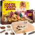 Real Fossil Dig Kit for Kids, Mega Science Kits for Boys & Girls Age 8-12, Birthday Gift Ideas for Ages 8-13