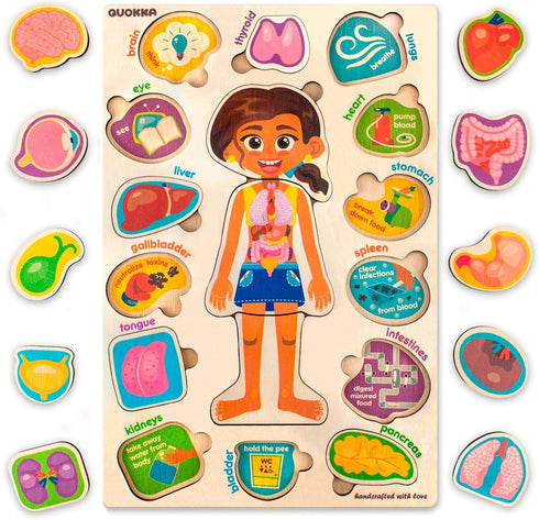 3-5 QUOKKA Puzzles for Kids Montessori Puzzles for Toddlers Preschool Game Learning Human Body Parts Anatomy Skeleton