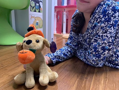 Plushland Halloween Pawpals 8 inches Puppy Dog Plush Stuffed Toy Comes with Hat and Halloween Jack O Lantern - Pumpkin for Kids on This Holiday (Labrador)