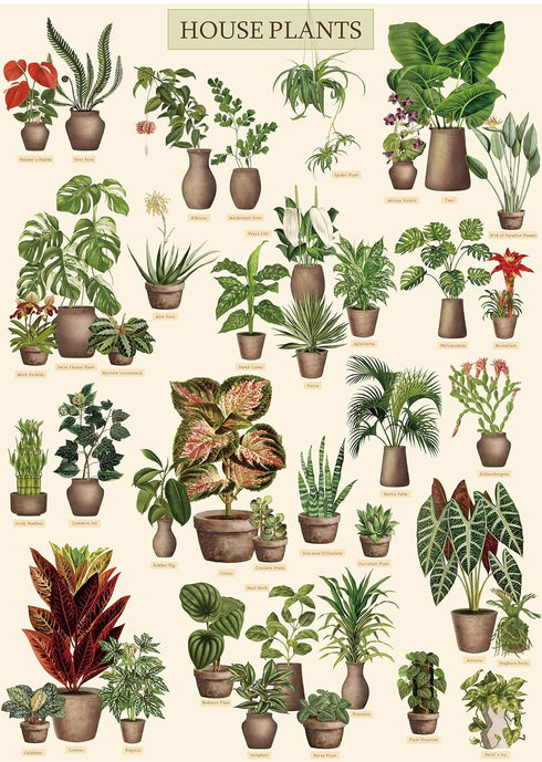 Vintage Houseplant Puzzle 1000 Pieces for Adult, Botany Succulent House Plant Puzzle
