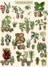 Vintage Houseplant Puzzle 1000 Pieces for Adult, Botany Succulent House Plant Puzzle