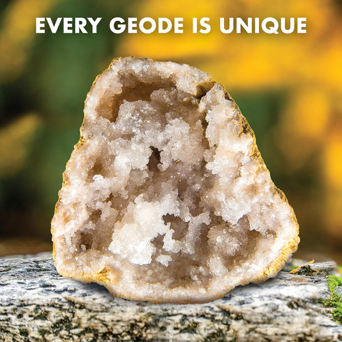 Break Open 2 Jumbo Geodes, Earth Science Kit for Kids to Learn Geology, Break Your Own Large Geode with Crystals