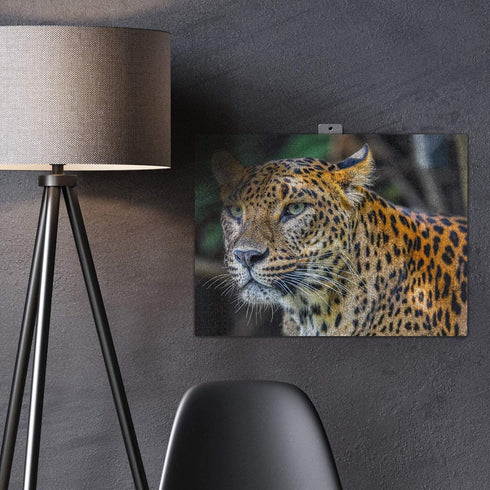 QuizQuirk 1000 Piece Puzzle - Bold Leopard Jigsaw for Adults/Teens (Puzzle Saver Kit Included)