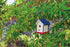 Beetle & Bee Paint A Bird Base - Backyard Birdhouse Kit for Kids, DIY Arts & Crafts