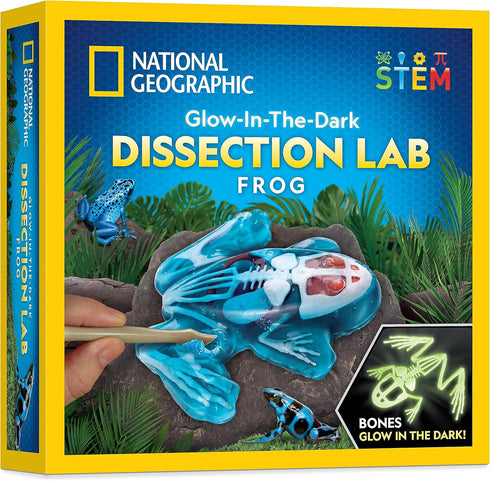 NATIONAL GEOGRAPHIC Frog Dissection Kit, Glow in the Dark Synthetic Frog Anatomy Lab for Kids