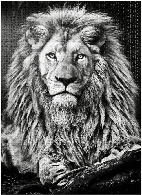 MyPuzzle Premium 1000 Piece Jigsaw Puzzle of Majestic Lion - Black and White Image for Adults
