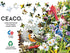 Ceaco - Garden Birds - 500 Piece Jigsaw Puzzle