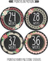 Pregnancy Weekly Belly Growth Stickers, Maternity Week Sticker, Expectant Mom Gift, Style 914