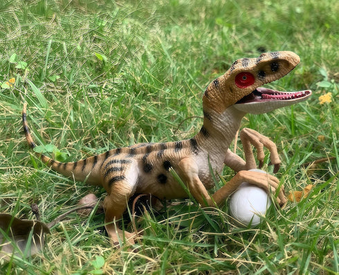 Gemini&Genius Velociraptor Dinosaur Toy for Kids, 7.8 Inches Oviraptor Action Figure with Moveable Parts