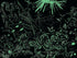 Ceaco - Undersea - Glow - 750 Piece Jigsaw Puzzle