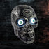 Sound Activated Skull with Light Up Eyes and Creepy Sounds, Halloween Party Prop Decoration