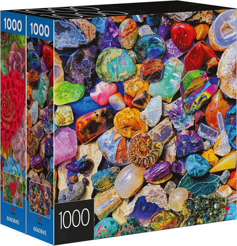 2-Pack 1000-Piece Jigsaw Puzzles - Succulents & Rocks and Minerals for Adults and Kids Ages 8+