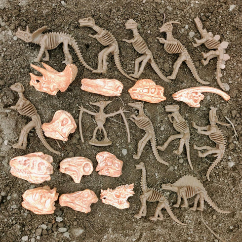 23PCS LC JoyCre Mini Dinosaur Bones and Dinosaur Fossil Skeleton - Plastic Dino Figure Bones for Kids Sandbox Toys
