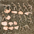 23PCS LC JoyCre Mini Dinosaur Bones and Dinosaur Fossil Skeleton - Plastic Dino Figure Bones for Kids Sandbox Toys