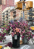 Ravensburger 300-Piece Puzzle Moment: Flowers in New York, Unique Softclick Technology, Vibrant Gift