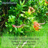 Realistic Fake Rubber Snakes and Lizard Set, Lifelike Reptile Models for Pranks, Garden Decor, Educational Play, 3