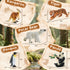 9 3-5 Zippytots PCS Zoo Animal Toys for Kids Realistic Plastic Wild Animal Figurine Toys Educational Learning Toy