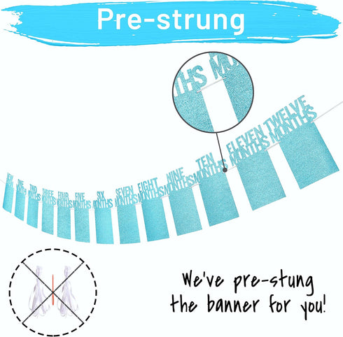 PartyHooman 1st Birthday Photo Banner for Baby, Monthly Milestones Garland for Boys, Pre-strung with Frame (Blue)