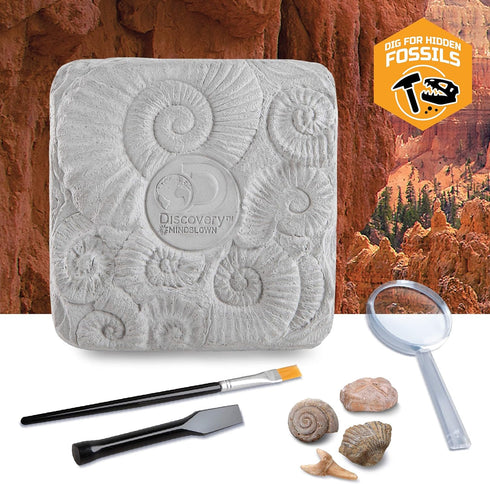 Discovery #MINDBLOWN Colossal Fossil Dig Set, 15-Piece Archeology Excavation Kit, Uncover Real Shark Teeth