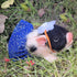 5 Inch OtardDolls Reborn Piggy Dolls, Full Silicone Soft Lifelike Mini Pig Dolls Mini Realistic Newborn Cute Realistic