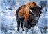 MyPuzzle American Bison Crouching in Snow, Yellowstone National Park - 1000 Piece Jigsaw Puzzle for Adults