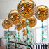 KatchOn Big Tiger Balloons for Birthday Party - 22 Inch, Pack of 6, Tiger Stripe Balloons for Graduation Decorations