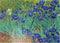 MyPuzzle Irises 1889 by Vincent Van Gogh - Premium 500 Piece Jigsaw Puzzle for Adults